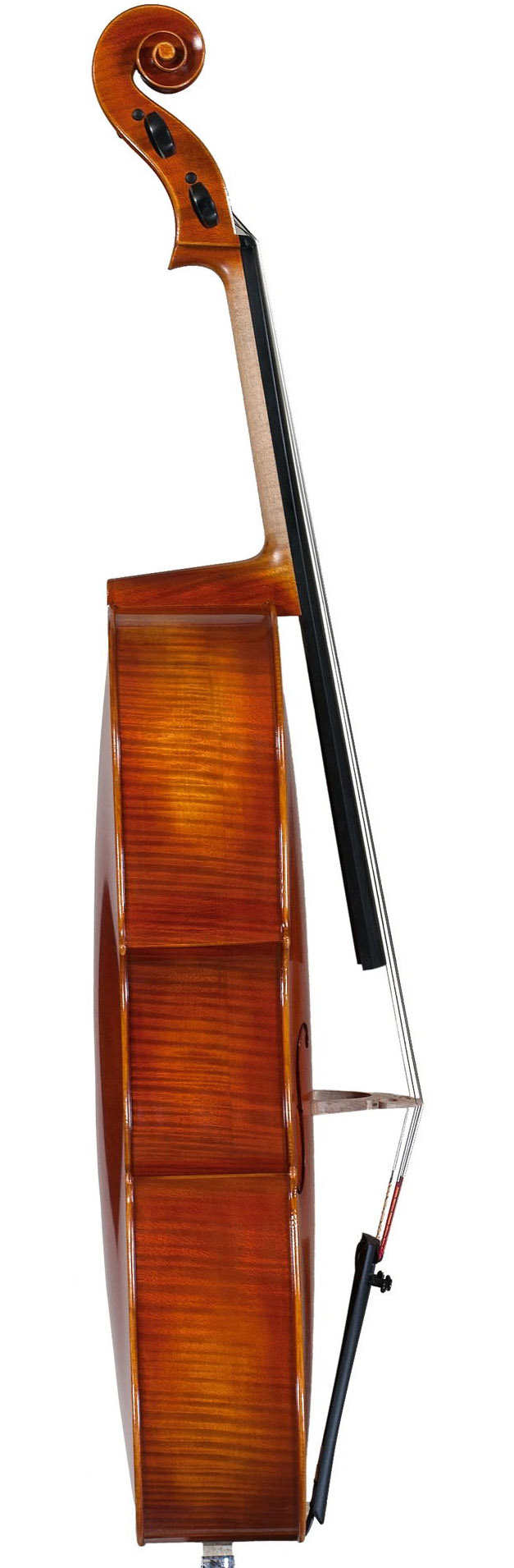 大提琴側板
