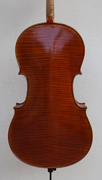 棗紅色歐料大提琴