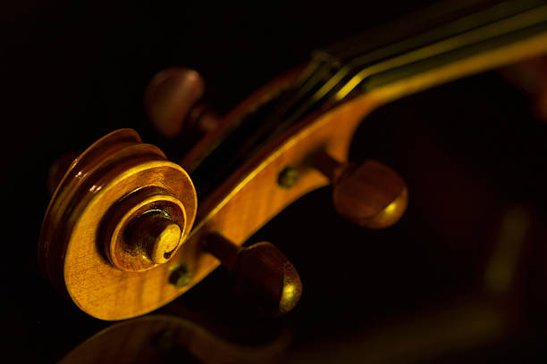 如何保養你的大提琴